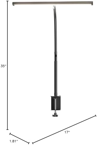 LED Desk Lamp for Office Home, Eye-Caring Desk Light with Stepless Dimming Adjustable Flexible Gooseneck, 10W USB Adapter Desk Lamp with Clamp for Reading, Study, Workbench (Black)