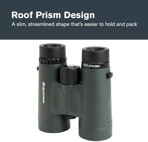 Celestron - Nature DX 8x42 Binoculars – Ideal for Birding and Outdoors – 42mm Objective Lenses – Wide 7.4° Field of View – BaK-4 Prisms – Fully Multi-Coated – Waterproof and Fogproof