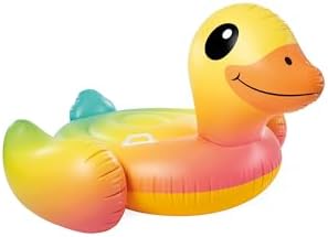 INTEX Inflatable Pool Float: Pool Toy for Kids