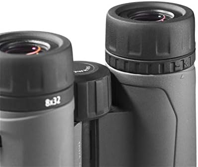 ZEISS Terra ED Binoculars 10x32 Waterproof, and Fast Focusing with Coated Glass for Optimal Clarity in All Weather Conditions for Bird Watching, Hunting, Sightseeing, Black