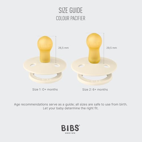 BIBS Pacifiers - Colour Studio 2 Pack | Round Nipple Baby Pacifier | BPA Free Natural Rubber Latex Soother | Made in Denmark | Size 6+ Months | Block Nordic Mint Petrol