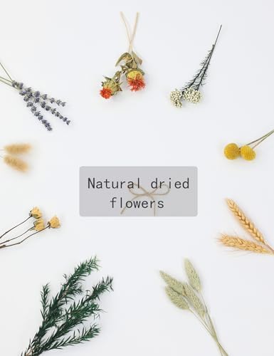 DIY Natural Dried Flower Set, Bulk Dried Flowers for Vase, Dried Flowers with Stems, Dried Roses, Mini Dried Flower Bouquets.(Brown)