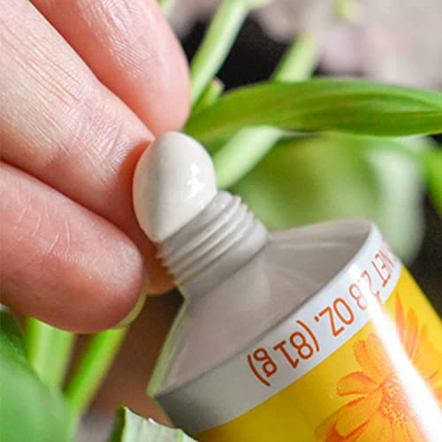 Weleda Baby Calendula Diaper Cream, 2.8 Fluid Ounce (Pack of 3), Plant Rich Protection with Calendula, Chamomile, Sweet Almond Oil, Lanolin and Zinc Oxide