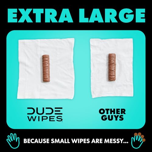 DUDE Wipes - Flushable Wipes - 6 Pack, 288 Count - Mint Chill - Vitamin-E, Aloe, Eucalyptus & Tea Tree Oils - Septic and Sewer Safe