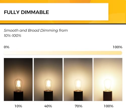 Hizashi Vintage LED Edison Bulb Dimmable, 6W Equivalent 60W, 3000k Soft White, E26 Base Led Light Bulbs, 700LM, UL Listed, High CRI 95+ Eye Protection, Clear Glass, Pack of 12