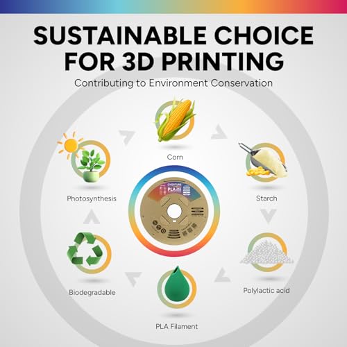 OVERTURE PLA Filament 1.75mm, Neatly Wound 3D Printer Filament 2kg Spool (4.4lbs), Dimensional Accuracy +/- 0.02 mm, Fit Most FDM 3D Printers (Black 2KG-1 Pack)