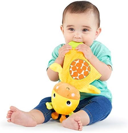 Bright Starts Snuggle & Teethe BPA-Free Crinkle Teething Plush Baby Toy - Giraffe (Pack of 6)