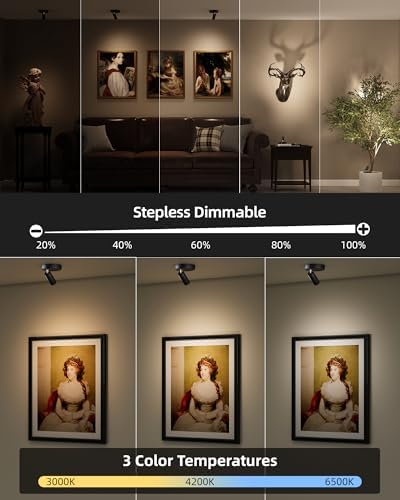 EZVALO Spotlights Indoor with Remote, 5500mAh Rechargeable Picture Lights, Wireless LED Uplighting with Timer&Dimmable, 3CCT, Display Lights for Plant Painting, Artwork, Accent Lighting (2Pack-Black)