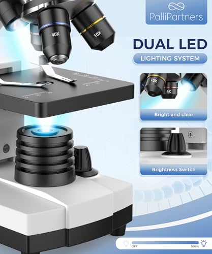 Compound Microscope for Adults & Kids - 100X-2000X High-Power Biological Microscope for Students, School Lab & Home Education, with Slides Set & Phone Adapter (White)