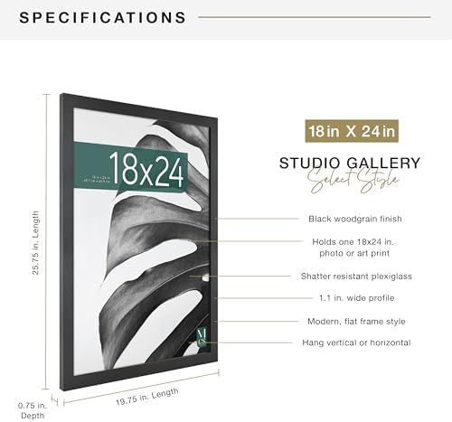 MCS Studio Gallery 18x24 Poster Frame Black Woodgrain, Vertical & Horizontal Wall Hanging Large Picture Frame for Photos, Posters & Art Prints (1-Pack)