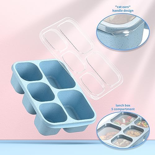 Bento Box Adult Lunch Box - 4 Pack, 5 - Compartment Meal Prep Container for Kids, Reusable Food Storage Snack Containers - Stackable for School, Work, and Travel (Wheat(Green/Blue/Pink/Beige))