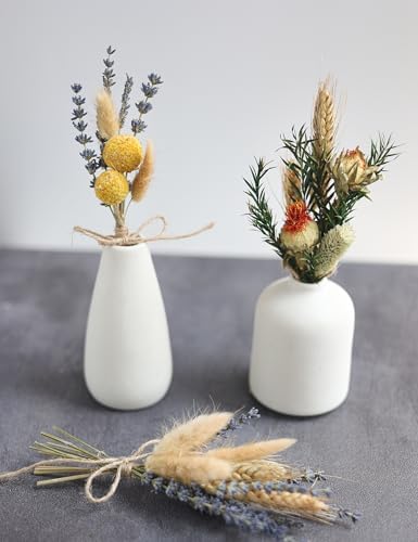 DIY Natural Dried Flower Set, Bulk Dried Flowers for Vase, Dried Flowers with Stems, Dried Roses, Mini Dried Flower Bouquets.(Brown)