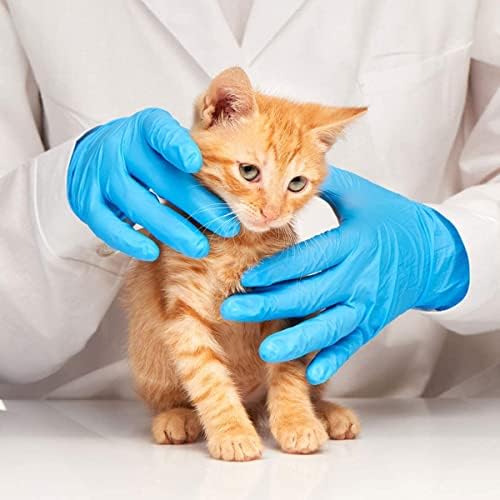 Basic Medical Blue Nitrile Exam Gloves, Latex-Free & Powder-Free Food-Safe House Cleaning Disposable Glove (1000 Pcs)