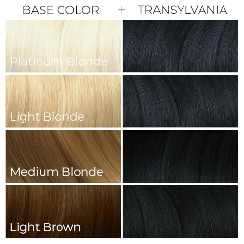 Arctic Fox Semi-Permanent Hair Dye, Vegan & Cruelty-Free, Conditioning, Ammonia-Free, Peroxide-Free, Jet Black Color, Transylvania, 4 Fl Oz (Pack of 2)