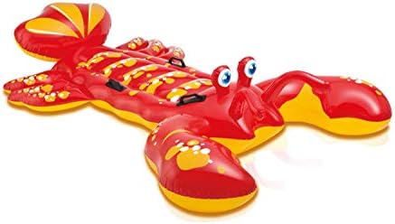INTEX Inflatable Pool Float: Pool Toy for Kids