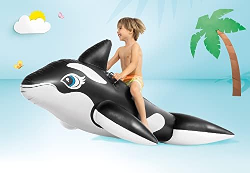 INTEX Inflatable Pool Float: Pool Toy for Kids