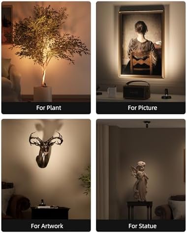 EZVALO Spotlights Indoor with Remote, 5500mAh Rechargeable Picture Lights, Wireless LED Uplighting with Timer&Dimmable, 3CCT, Display Lights for Plant Painting, Artwork, Accent Lighting (2Pack-Black)