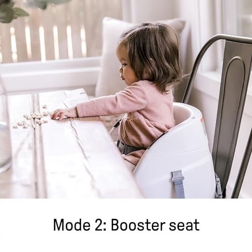 Ingenuity Baby Base 2-in-1 Booster Feeding and Floor Seat with Self-Storing Tray - Slate