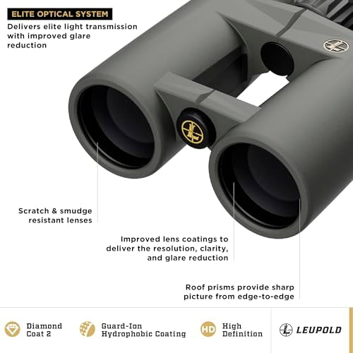 Leupold BX-4 Pro Guide HD Binoculars, 8x42mm Gen 2 (184760)