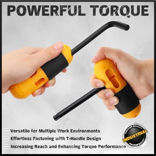 ELEAD Hex Key Allen Wrench Set: 41-Piece Hex and Torx Key Set with Torque Handle, Standard SAE(0.028"-3/8") & Metric(0.7mm-10mm) & Torx(T9-T50) in Storage Case, Heat Treated Chrome Vanadium Steel