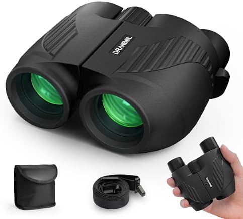 20X25 Small Binoculars for Adults and Kids, Large Eyepiece Binoculars for Bird Watching Easy Focus, Pocket High Powered Opera Glasses for Concert, Cruise Ship, Travel Must Have