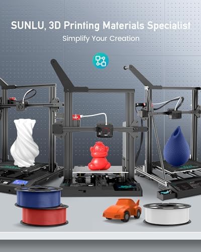 SUNLU PETG Filament 1.75 Bundle, Individually Vacuum Packed, 2kg in Total, 0.25kg per Spool, 8 Pack, 8 Colors, Black+Clear +Clear(Yellow+Blue+Green+Purple+Red+Orange).