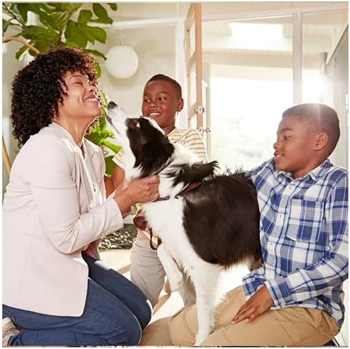 Filtrete 16x25x1 AC Furnace Air Filter, MERV 12, MPR 1500, CERTIFIED asthma & allergy friendly, 3 Month Pleated 1-Inch Electrostatic Air Cleaning Filter, 2-Pack (Actual Size 15.69 x 24.69 x 0.78 in)