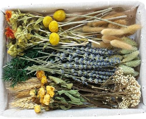 DIY Natural Dried Flower Set, Bulk Dried Flowers for Vase, Dried Flowers with Stems, Dried Roses, Mini Dried Flower Bouquets.(Brown)