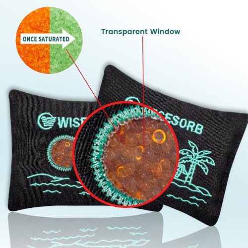 100g x 5pcs Rechargeable Desiccant Packs, Reusable Car Dehumidifier Bags Color Indicating Silica Gel Packets Moisture Absorbers for Storage Bins, Suitcase, Safe, 3D Filaments, Electronics