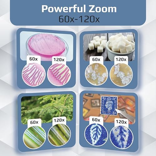 Carson MicroBrite Portable Digital Pocket Microscope for Kids or Adults, Accurate 60x-120x Zoom, Handheld Microscope with Phone Clip & Smartphone App (MM-350)