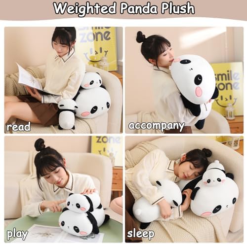 SQEQE Weighted Panda Plush, Weighted Panda Stuffed Animal, Cute Plushies Soft Bear Pillow Toy Gift for Kids Adults 9.8 Inch, 0.8 Lbs