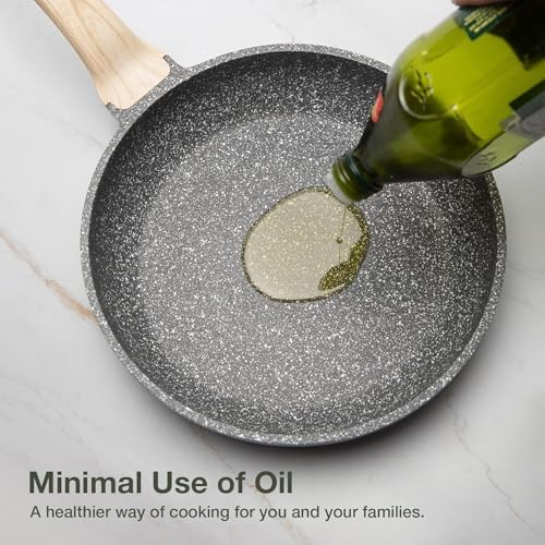CAROTE Non Stick Frying Pan Skillet, Nonstick Granite Fry Pan with Glass Lid, Egg Pan Omelet Pans, Stone Cookware Chef's Pan, PFOA Free (Classic Granite, 10-Inch)