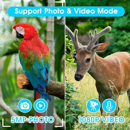 ZZSTAR 12x32 Binoculars with Built-in Camera, High Powered Binoculars for Adults, 2" LTPS Display 5MP 1080P Video Photo Recorder for Bird Watching Travel Concert, with 32GB Micro SD Card, Silver