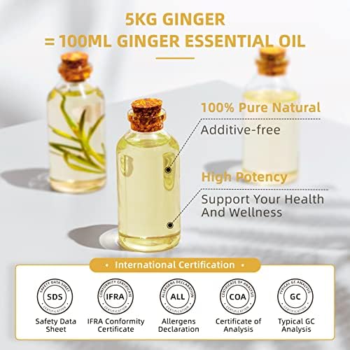 HIQILI 16 Fl Oz Ginger Oil, 100% Pure Natural Ginger Essential Oil for Hair, Massage, Skin - 500ML