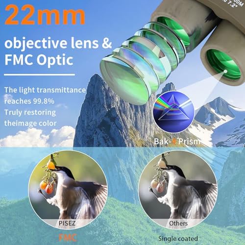 PISEZ 30X60 Compact Binoculars for Adults and Kids,Lightweight Foldable Easy Focus Small Binoculars for Bird Watching Hunting Concert Traveling Theater Opera Sightseeing