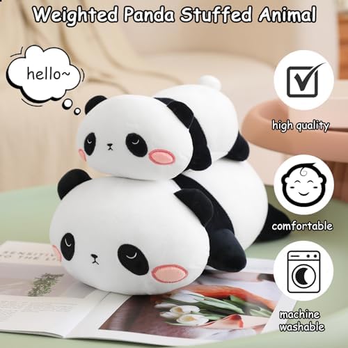 SQEQE Weighted Panda Plush, Weighted Panda Stuffed Animal, Cute Plushies Soft Bear Pillow Toy Gift for Kids Adults 9.8 Inch, 0.8 Lbs