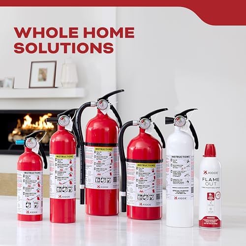 Kidde, FA110G, Multi Purpose Fire Extinguisher for Home, Office, Dorm, Residential, 1A10BC