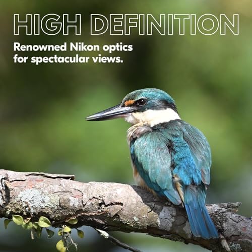 Nikon PROSTAFF P3 8x42 Binocular | Waterproof, fogproof, rubber-armored Full-Size Binocular, wide field of view & long eye relief | Official Nikon USA Model
