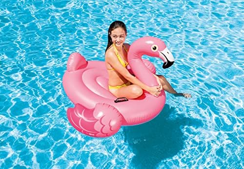 INTEX Inflatable Pool Float: Pool Toy for Kids