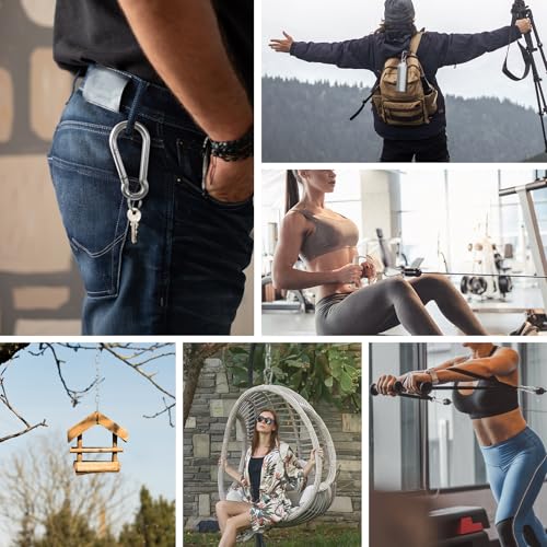 Small Carabiner Clip Hooks, 10pcs 2.75 inch Carabiners Heavy Duty, 304 Stainless Steel Spring Snap Hook Fits Camping Hiking, Metal Clips for Rope Chain Keys Rings