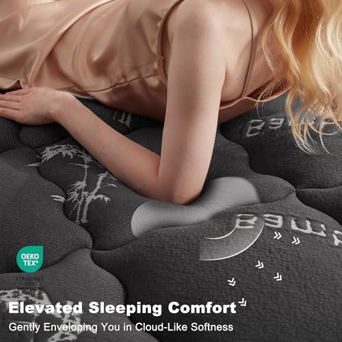 BEDLORE Queen Mattress Topper Viscose Derived from Bamboo, Thick Pillow Top Mattress Pad with Stretchable Pockets for 6-18 inches Mattress, Soft Mattress Topper for Back Pain Relief(Dark Gray)