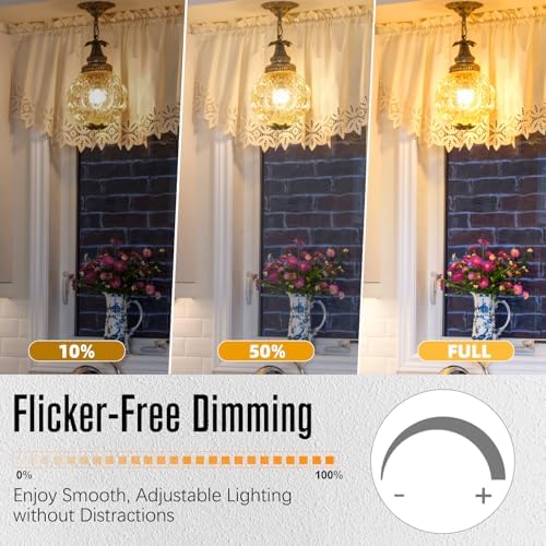 LED Edison Bulbs Dimmable, E26 Bulb 60 watt Equivalent, Soft White 2700K, ST58 Vintage Light Bulbs, 90+ CRI, 6W 600LM, E26 Medium Base, Clear Glass, 10 Pack