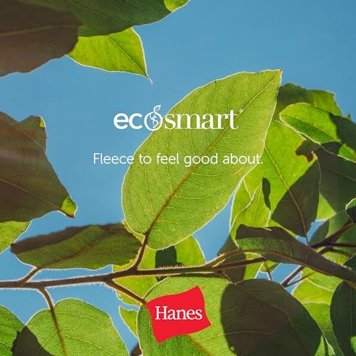 Hanes EcoSmart Hoodie, Midweight Fleece, Pullover Hooded Sweatshirt for Men