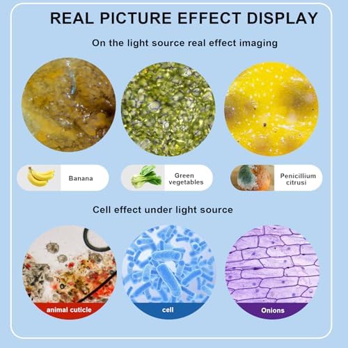 Microscope for Adults WF10x and WF25x eyepieces, 40X-2000X Magnification USB Camera, Microscope for Adults Suitable for Laboratory School (Large Model Binocular Electronic Eyepiece)