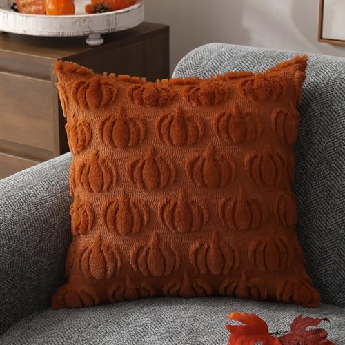 DFXSZ Fall Pillow Covers 20x20 Set of 2 Fall Decorations Autumn Rust Pumpkin Throw Pillow Cases Soft Plush Faux Fur Wool Couch Cushion Case for Chair Sofa Bedroom Living Room Home Decor PTK02A20