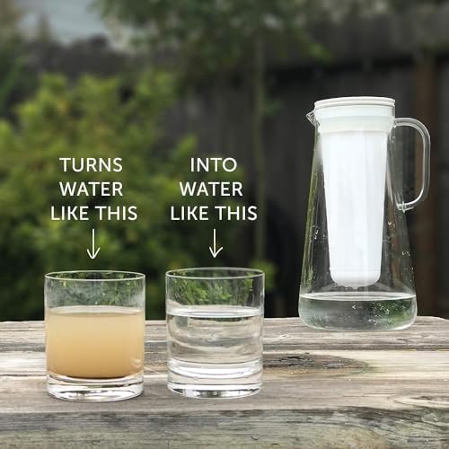 LifeStraw Home – Replacement Membrane Microfilter Filter for protection against bacteria, parasites, microplastics, PFAS and 30+ contaminants