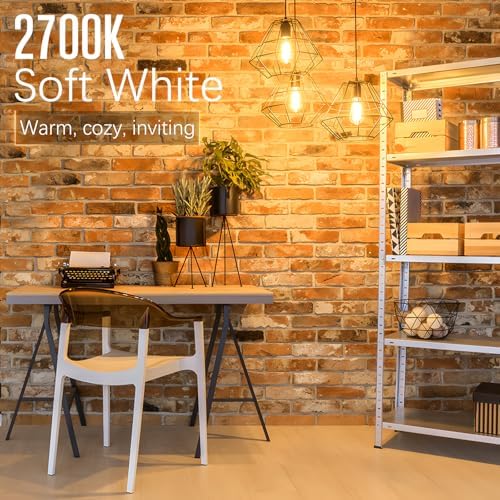 LED Edison Bulbs Dimmable, E26 Bulb 60 watt Equivalent, Soft White 2700K, ST58 Vintage Light Bulbs, 90+ CRI, 6W 600LM, E26 Medium Base, Clear Glass, 10 Pack