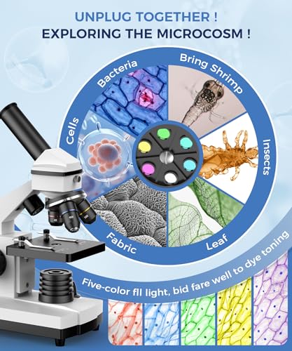 Compound Microscope for Adults & Kids - 100X-2000X High-Power Biological Microscope for Students, School Lab & Home Education, with Slides Set & Phone Adapter (White)