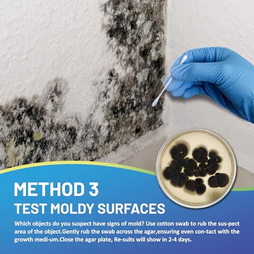 Mold Test Kit for Home,14 Simple Detection Tests,Test HVAC System,Home Surfaces, Indoor Air Quality Testing,DIY Mold Detector,Includes Detailed Mold Identification Guide,Black Mold Testing kit