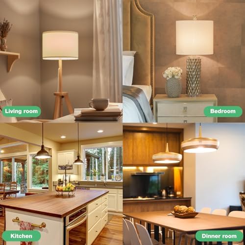 DEGNJU 24 Pack LED Light Bulbs Soft White 2700K, 60 Watt Equivalent LED Bulbs, A19 Standard Bulbs, 800 LM, 15000 Hours, E26 Base, Non-Dimmable, 8W White LED Bulbs for Bedroom Living Room